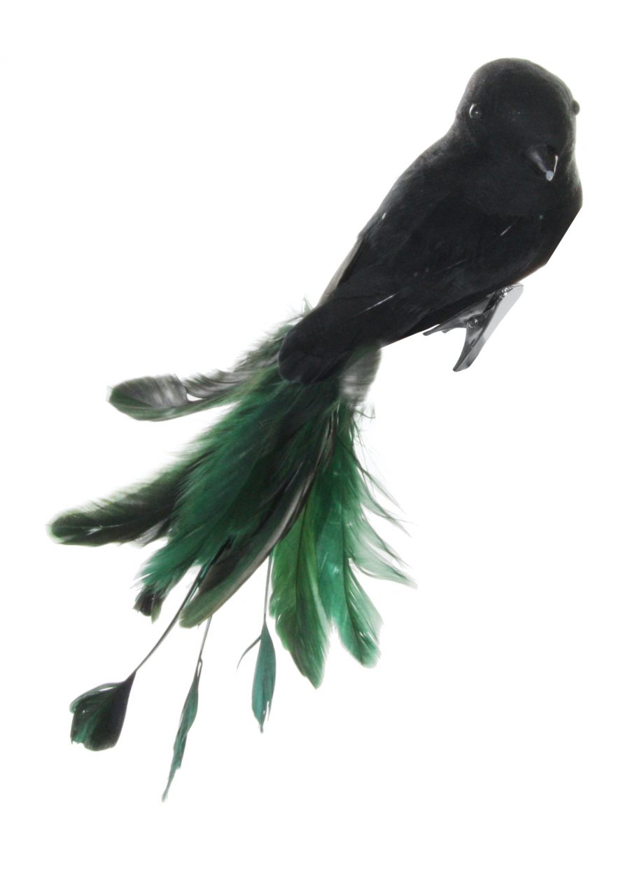 50020 920x1253 - Fugl - Feather bird, black/green mix