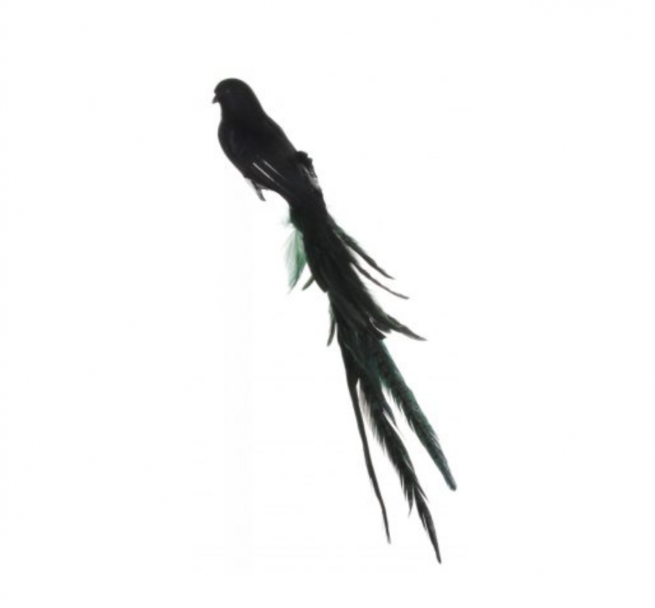 Skjermbilde 2020 10 14 kl. 11.48.55 920x854 - Fugl - Feather bird, black/green 45 cm