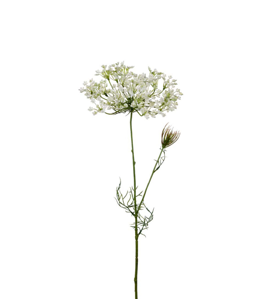 9671 10 920x1012 - Snittblomst - Allium, hvit